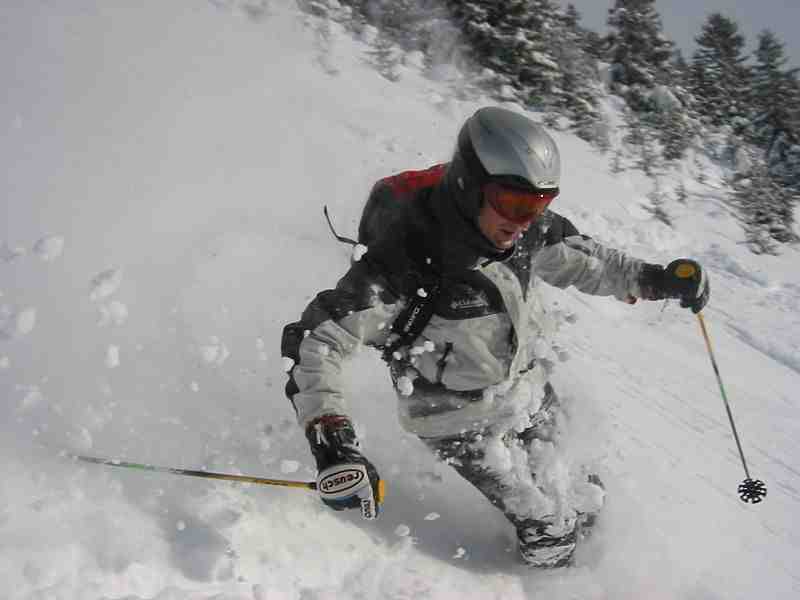 Quel sport d'hiver se pratique dans les Alpes?